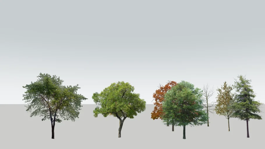 2D trees
