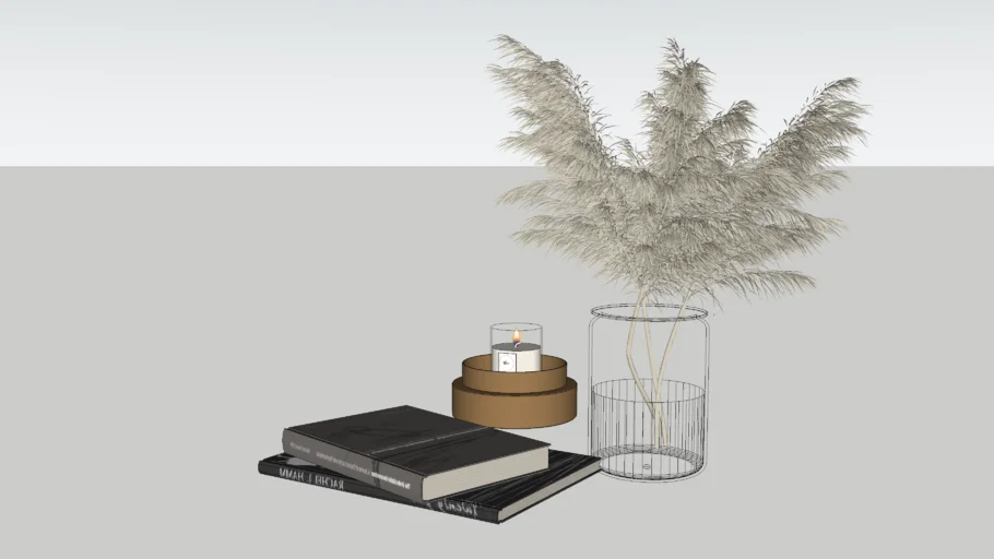 Vela Acesa. livros e planta