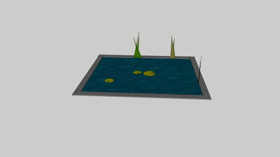 Pond