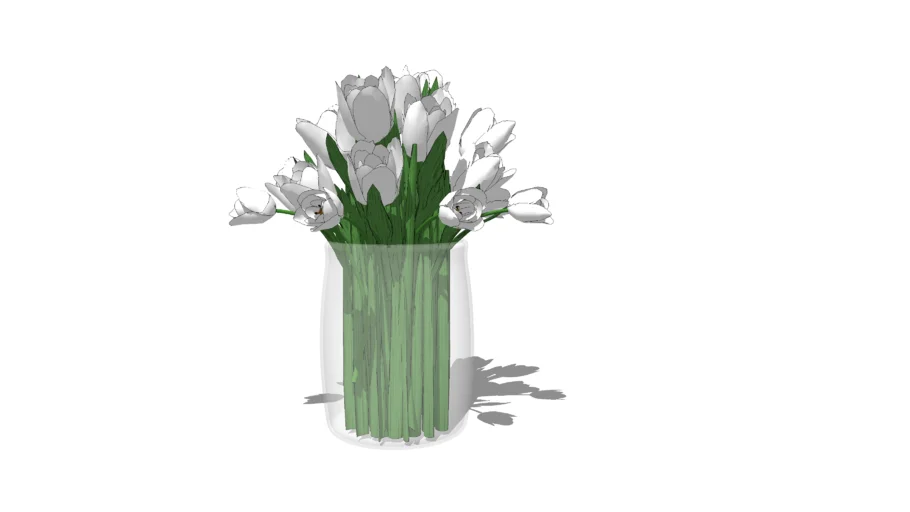 Tulips in glass vase
