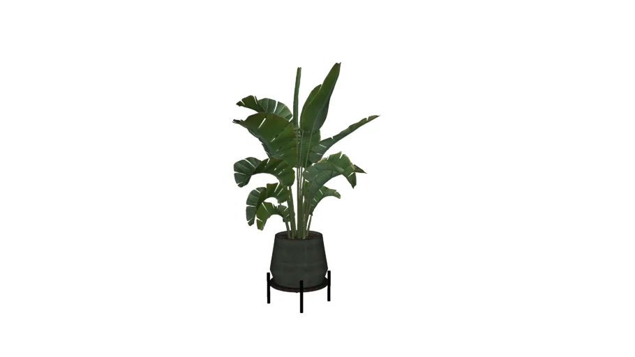 Plant pot