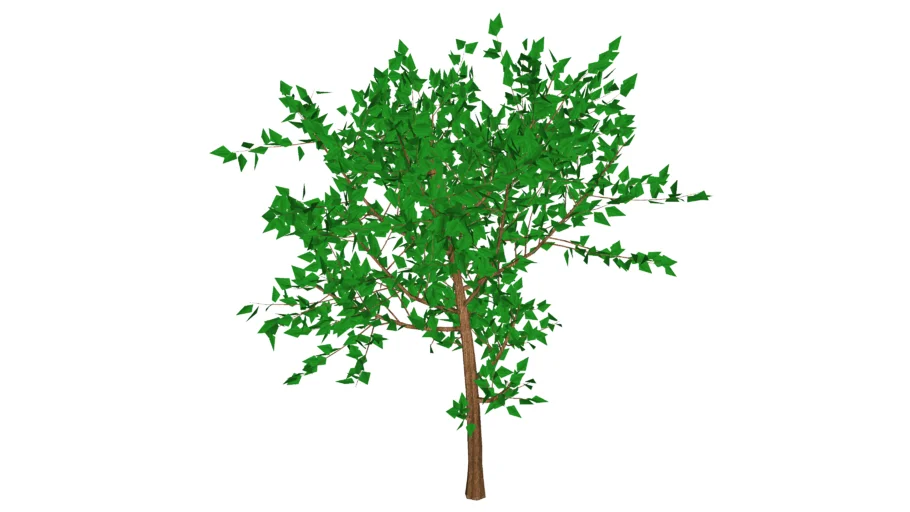 3D Generic Tree 00