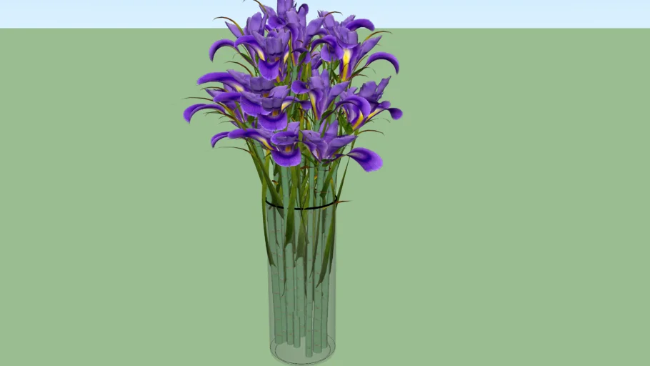 Vaso de Flor com Iris