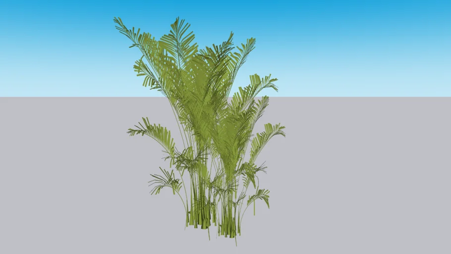 planta 