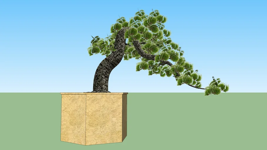 bonsai | 3D Warehouse