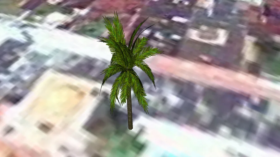PALMERA