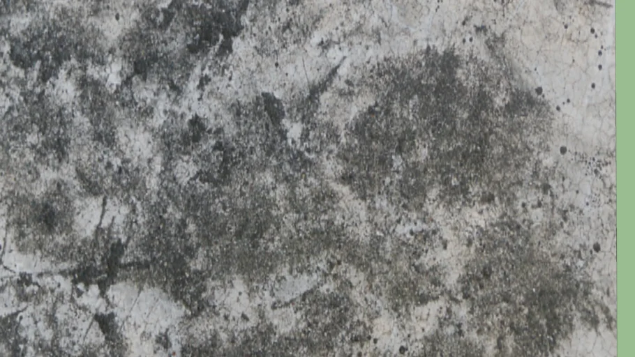 TEXTURA - CIMENTO QUEIMADO