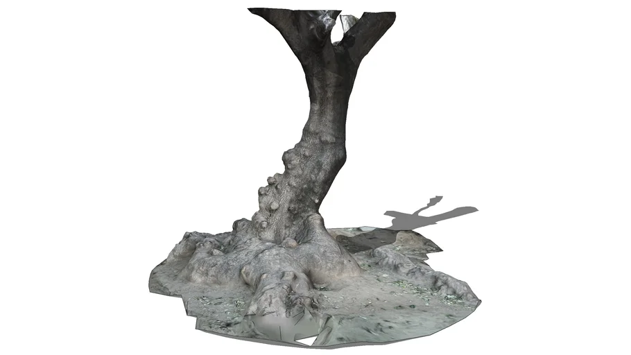 tree trunk | 3D Warehouse