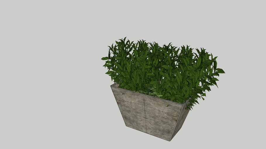 POTS PLANT (45).skp