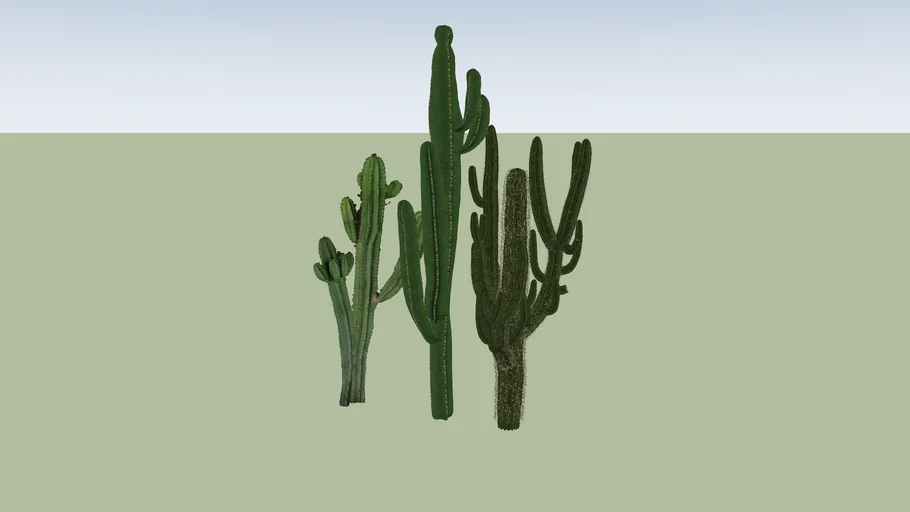 CACTUS VRAY READY | 3D Warehouse