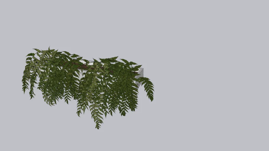 Vaso com Planta Caindo