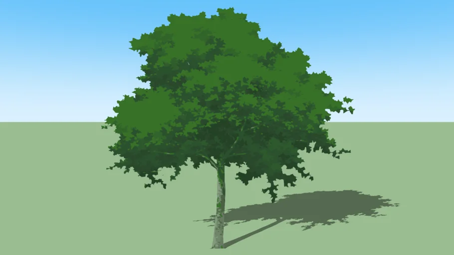 tree05f-a