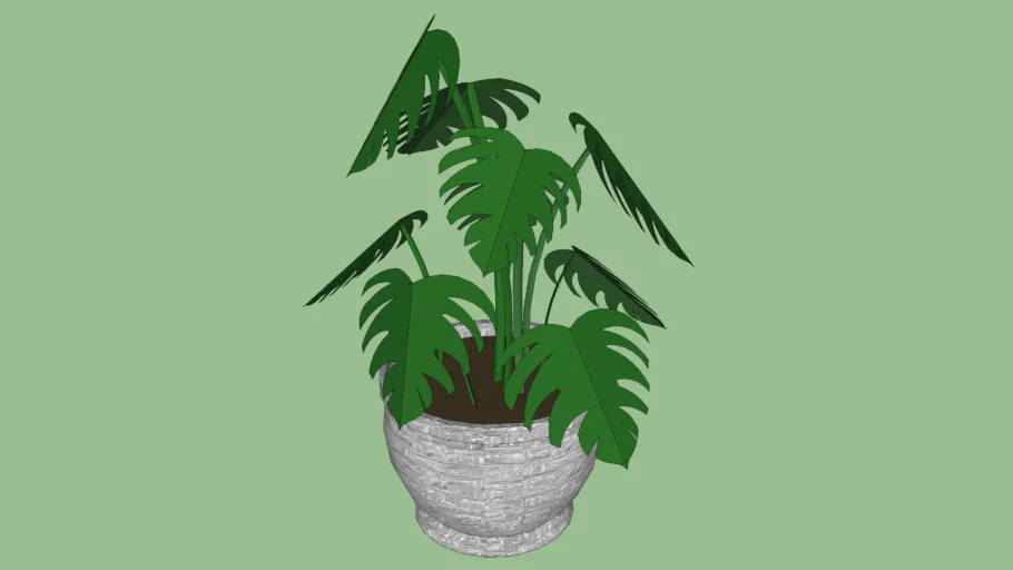 Potted plant