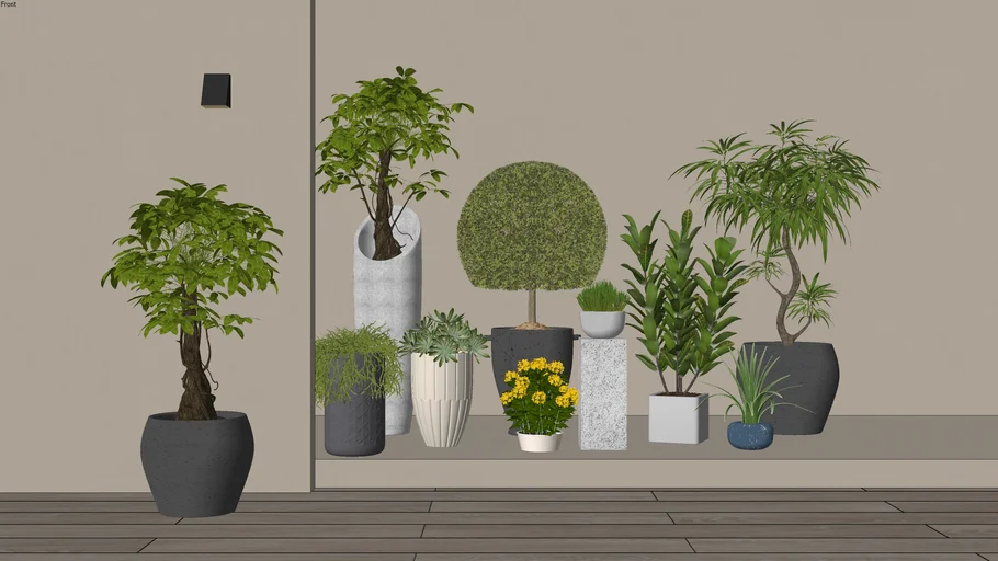 Interior Plant 6