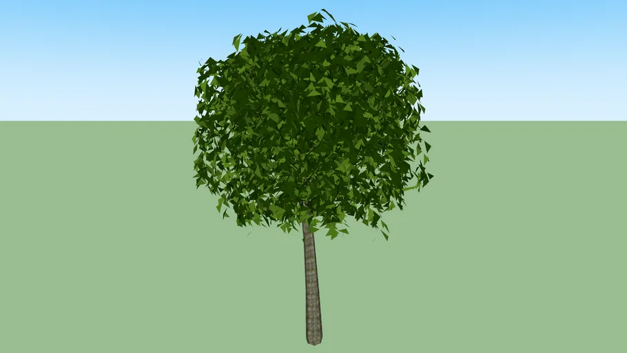 Lollipop Tree