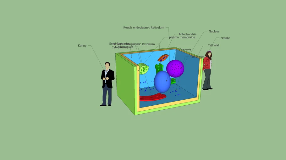 cell | 3D Warehouse