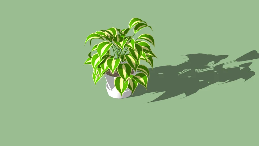 Flower pot with plant