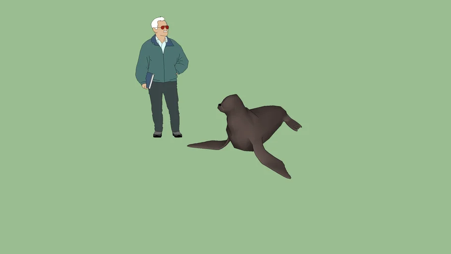 Sea Lion