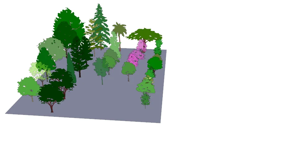 2D trees - Silhouet