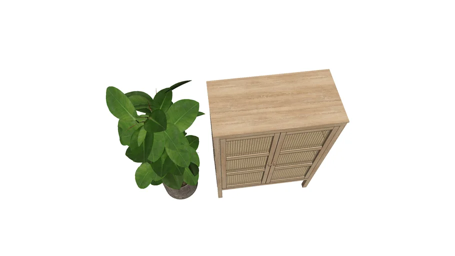 stockholm cabinet and plant