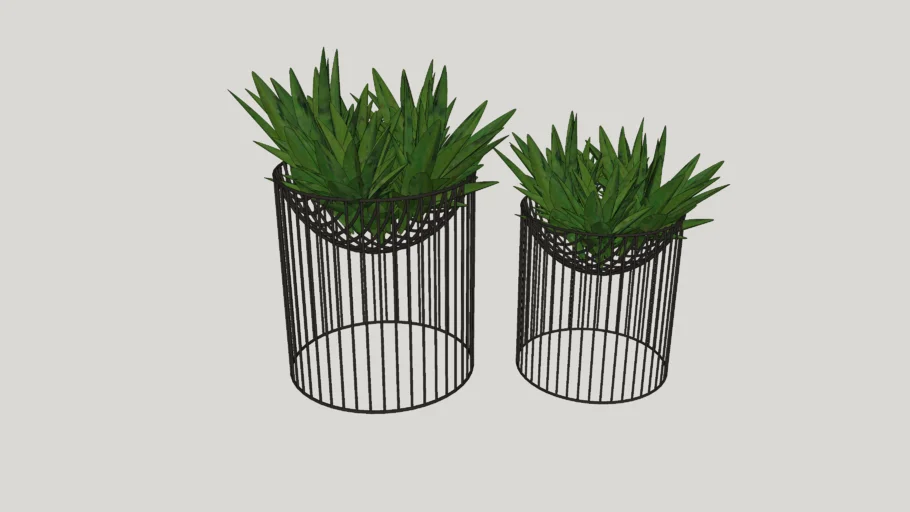 Vasinhos planta Decoração