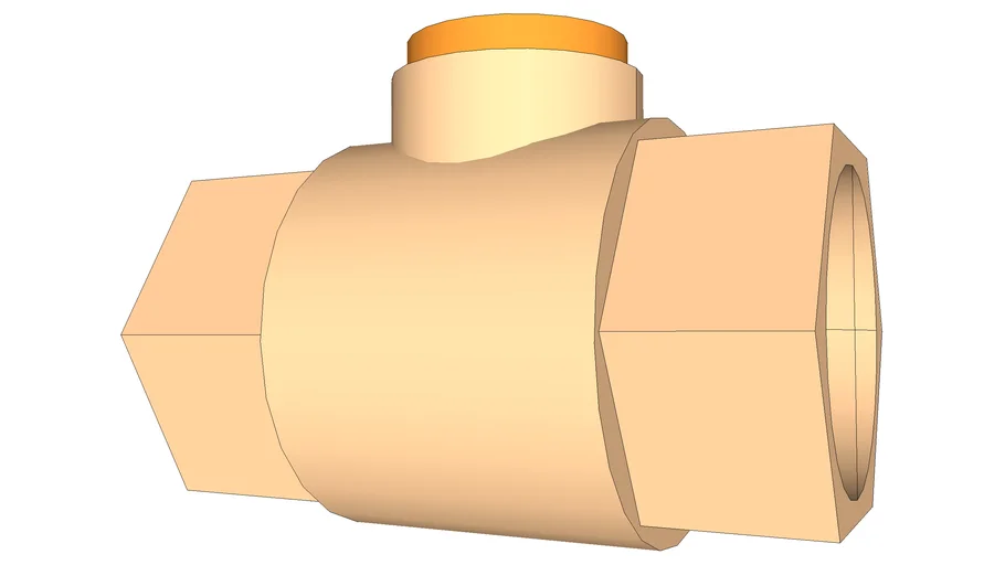 Check Valve