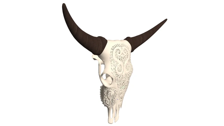 Cow Skull