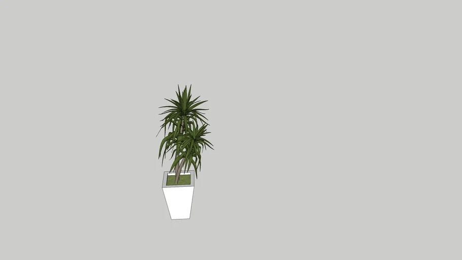 maceta con palmera
