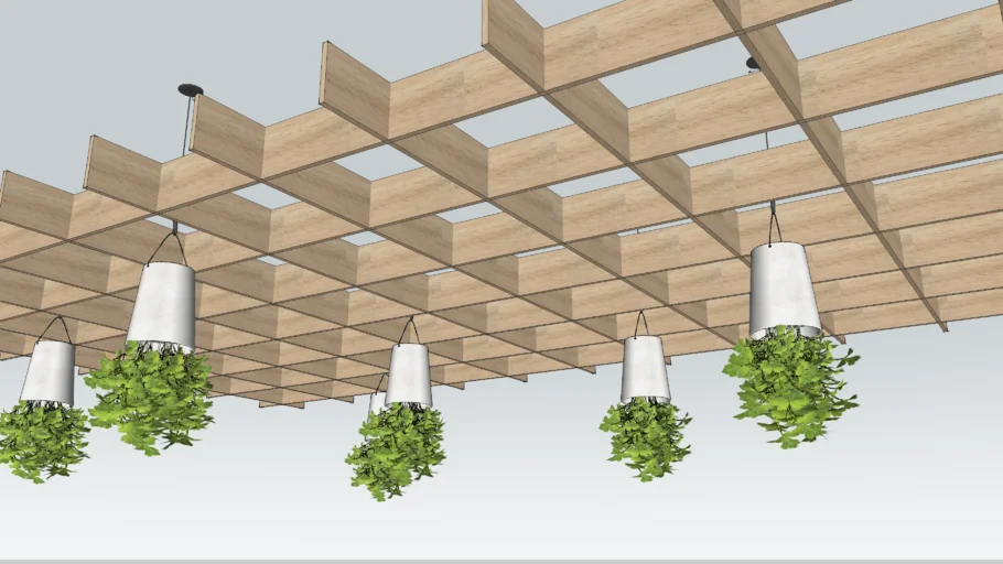 plant ceiling