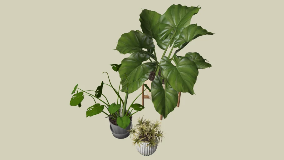 13212. Free Sketchup Plant Model Download