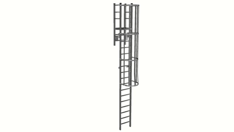 TEST 533 Cage Ladder