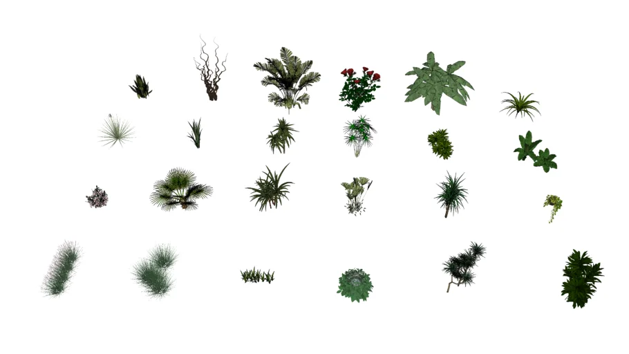 Indoor plants