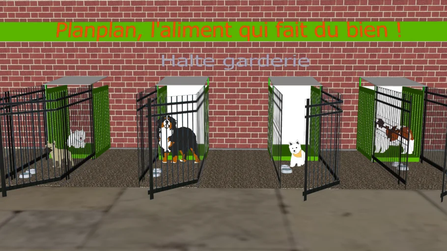 A dog daycare