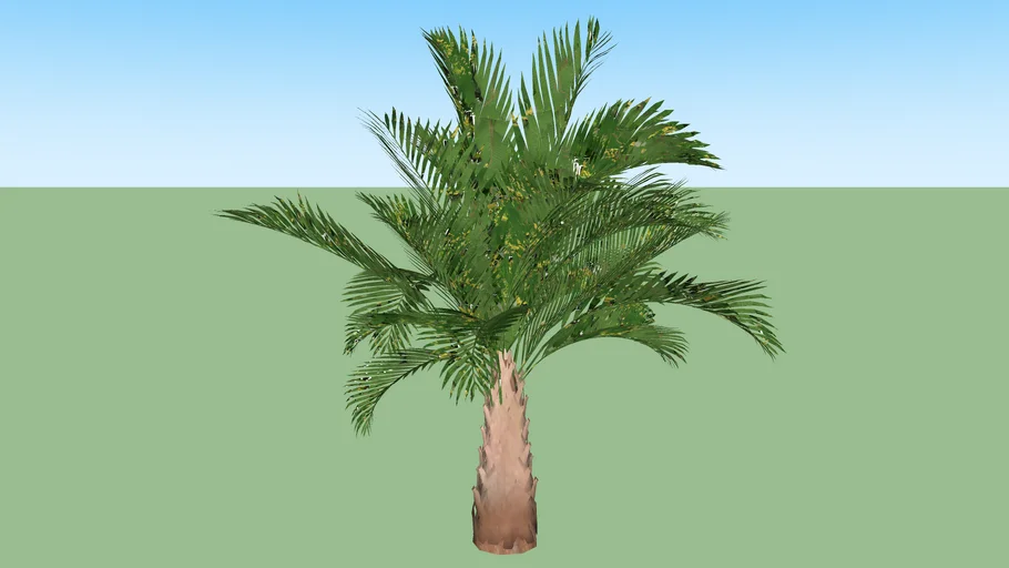 Palmeira