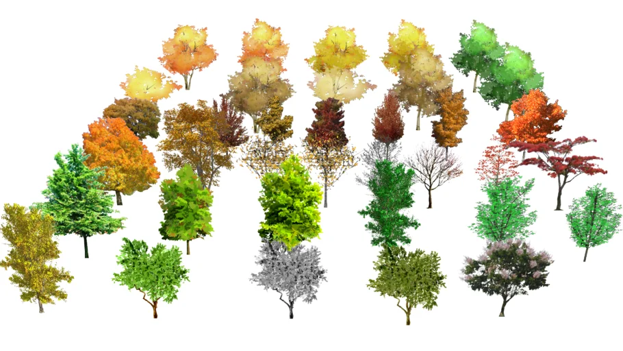 2D trees