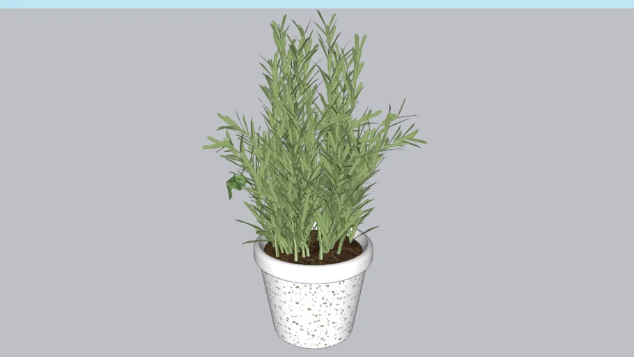 Vaso de Planta