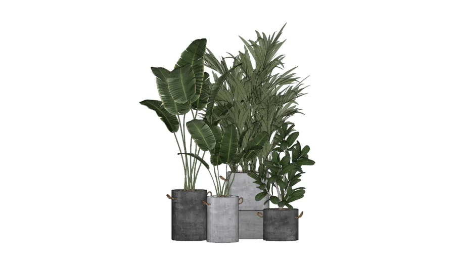 4 VASOS DE PLANTAS