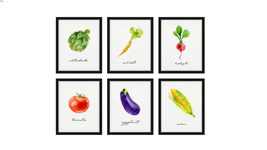 COLEÇÃO VEGETAIS