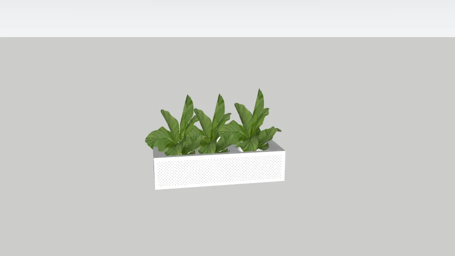 Order Planter Box /Sylex