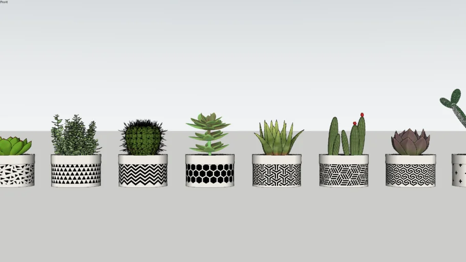 PLANT