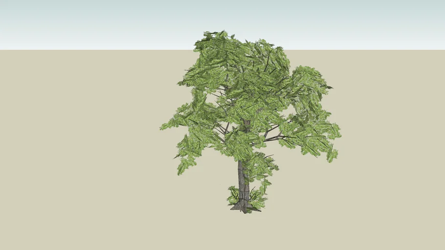 Smart tree 3D Beech