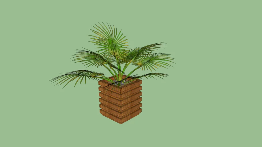Vaso Planta