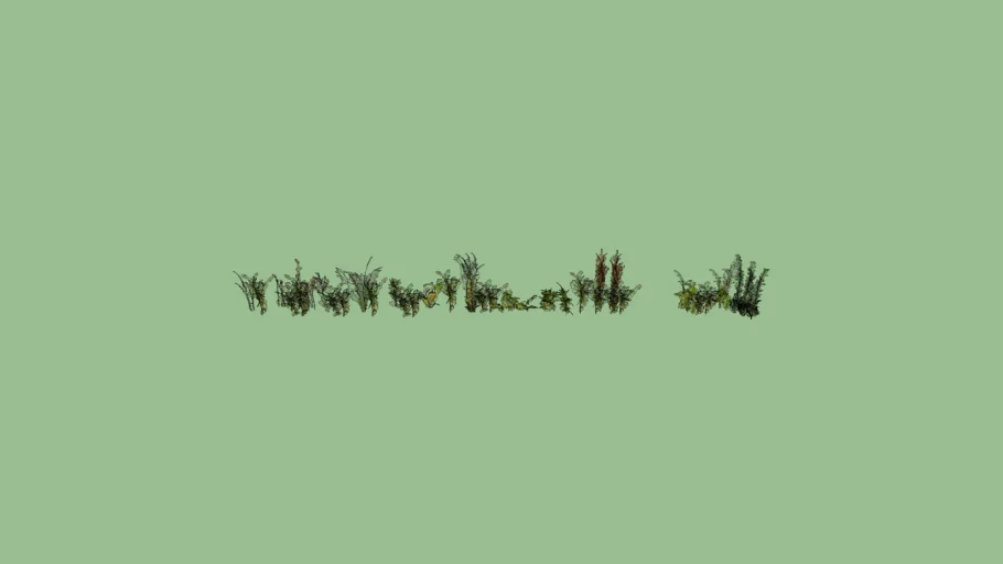 VEGETACION