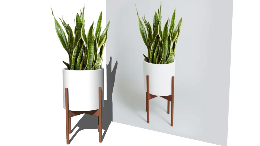 plant pot