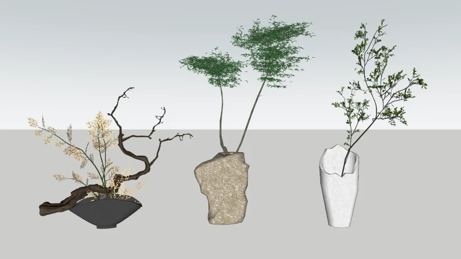 Indoor Plants with Vase & Ikebana