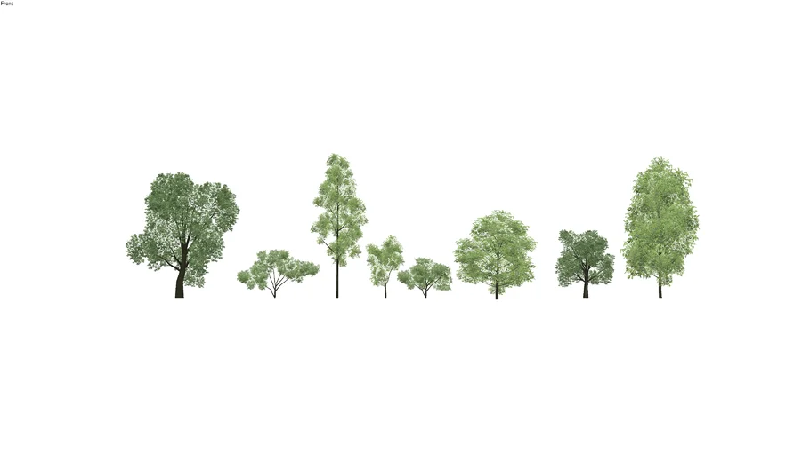 8 Arboles