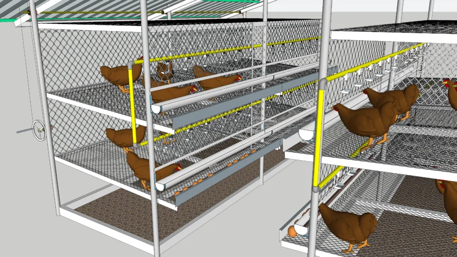 poultry chiken kandang ayam