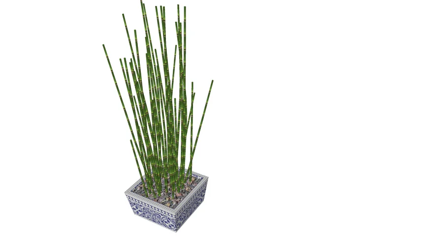 bambu air
