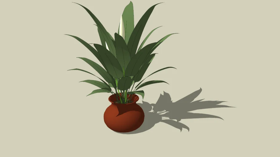 Potted Plant