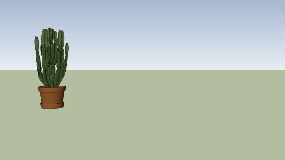 cactus